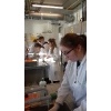 Wykład i zajęcia laboratoryjne na Wydziale Chemii UG_8