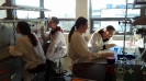 Wykład i zajęcia laboratoryjne na Wydziale Chemii UG_4